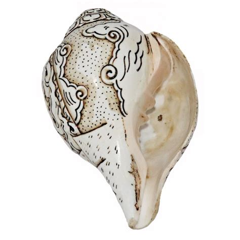 Connecting with Nature through the Magical Conch: Deepening Your Relationship with the Elements